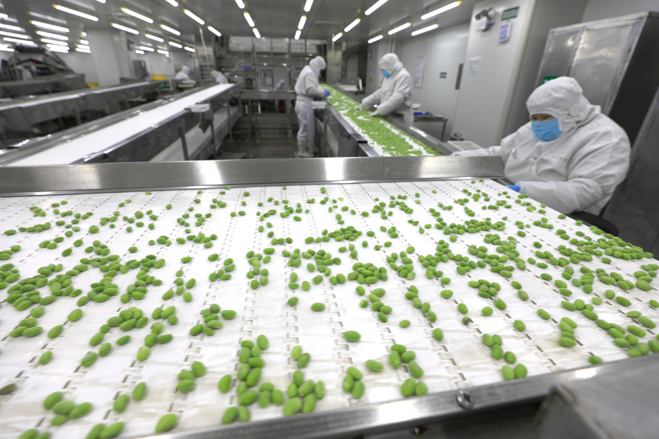 西秀區(qū)凈菜工廠 延伸蔬菜產(chǎn)業(yè)鏈，提升農(nóng)產(chǎn)品附加值