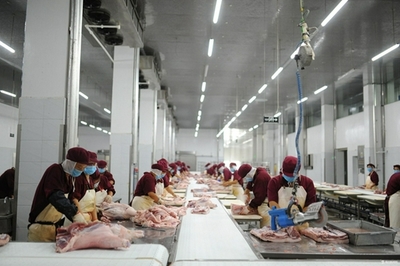 蒙城 綠色農(nóng)產(chǎn)品暢銷長(zhǎng)三角，農(nóng)業(yè)產(chǎn)業(yè)高質(zhì)量發(fā)展的新篇章