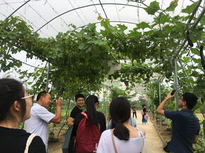 深化專業認知，筑牢安全基石——記四年制高職本科食品質量與安全專業農產品安全生產認知實習